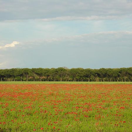 Appartamenti Alaska Bibione Exteriör bild